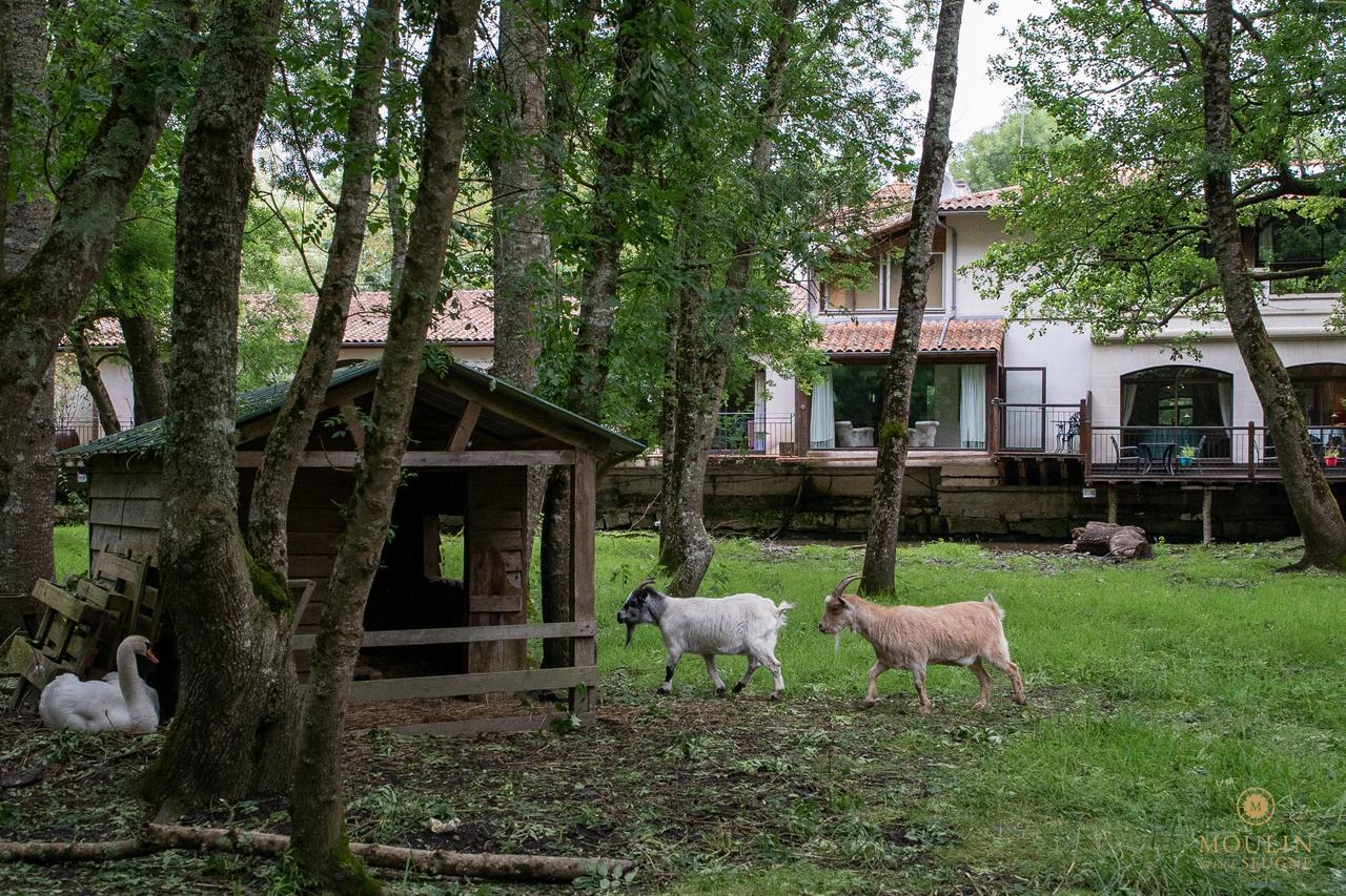 Готель Moulin Du Val De Seugne Mosnac  Екстер'єр фото